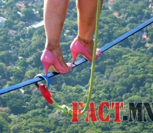 d4848bc2bd075384great