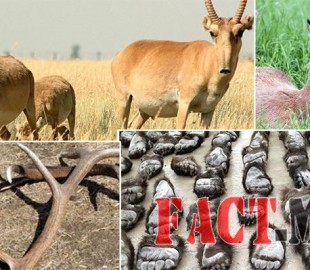 eabc5b112c951618great