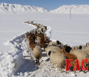 olloo_mn_1437443680_bichin-jil