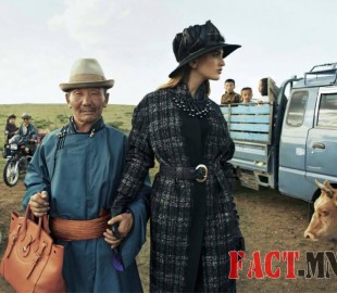 1000647_1018168591537089_7473702043612406798_n