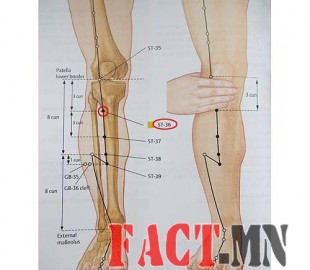 12106966_915616391847043_8473584865227023119_n