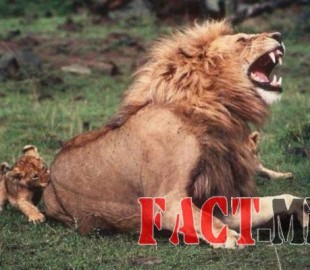 12391831_926437877411120_6501098456591511212_n-600x400