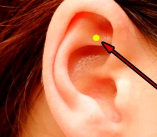 14494489295664d5e1e17ff