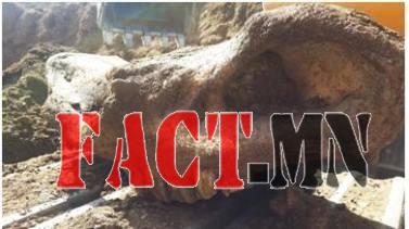 31ea2cf9-3af8-4527-a32b-746de316b8d6