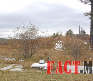 82fe665c4d6ae453great