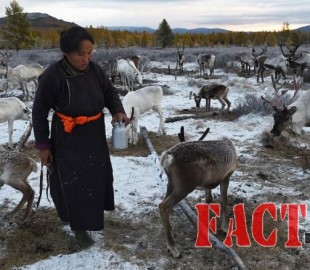 c1da587e-e1d5-4792-bfc1-897c5deb4f48