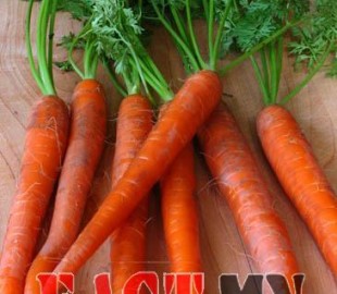 e1ff78f445f09ff0great