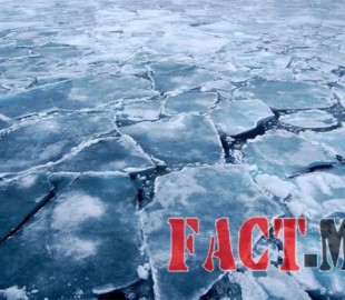 -mos_mus_ice_700x700