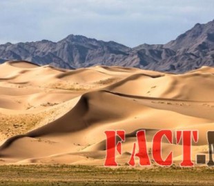 0_a2406_a836c91a_XL (1)