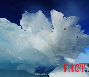 12507160_1085741038103833_6916173024781792656_n