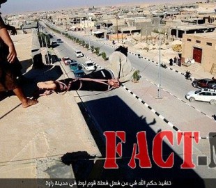 12540590_583338078498319_196659675098361137_n