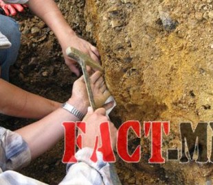 14526507705695b11299dbe