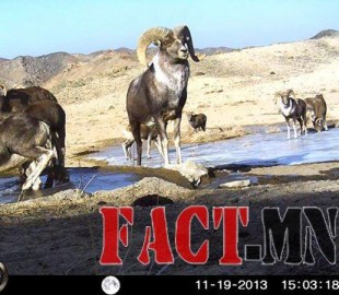 1476610_473056749481766_1552255160_n