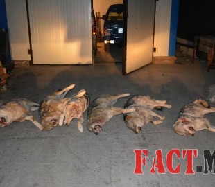 3494d3_DSC_0830_x800