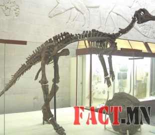 c5ab3f1ada4ec7edoriginal