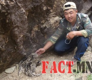 d8ee1980e391fca1d7dda2e30331b9f2original