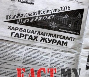 tsagaan-398x480