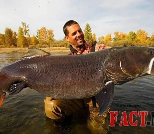 12642471_1678550845757552_8271178223164992572_n