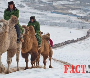 12802991_1687569714855665_4786598833465925367_n