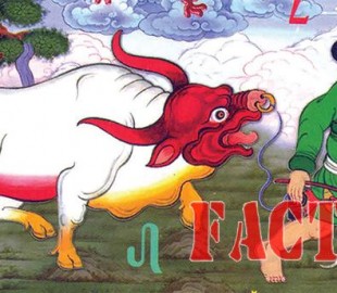 4b2e3e02f0393176original