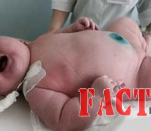 745ad89e-222e-49a4-8d28-bc3b1dbd1bea