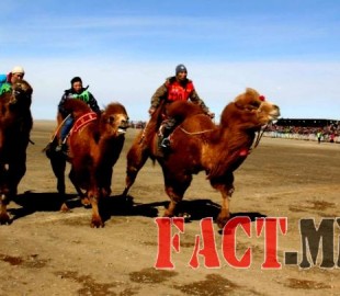 145740357956de36bba20bf