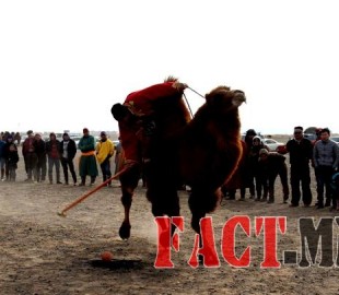 145758529156e0fc8be50f7