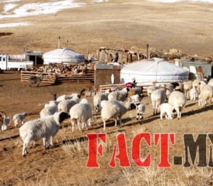 5638e0547b0866d5dfea9abecd49e238