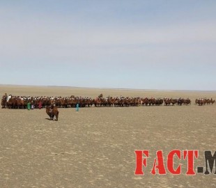 9bd362bc007103aa6cc40170b20d8dd8