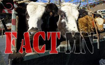 aaa5ae5cefd555c3great