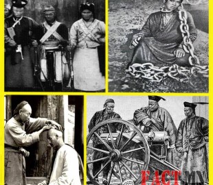 12108262_1510200129299704_8289079427126618717_n