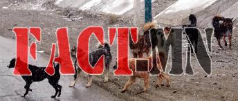 145983039757033e7d408c4