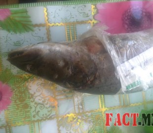 b00e0c79ab05aa828e0aa1149f2fd34c