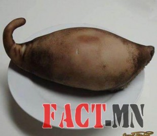 13177246_1019329131469773_1100727395921976474_n