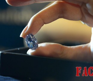 a3988839a085bb09071f8cc07ea337dd