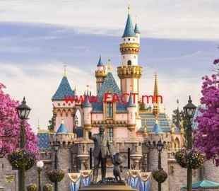 51662ea4c2a58391original