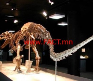 527-143338635411392842_848060071896173_6260229087458597482_n