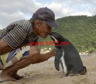 991915956e0ca658cd8d51