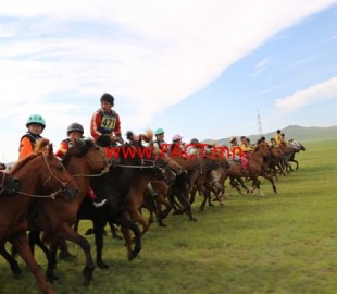 3e5abb916f84c234original