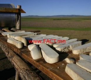 f881f504f32db2661d1af1e2790619b3