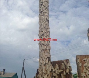 13912807_1081449415235569_1972024243998705025_n