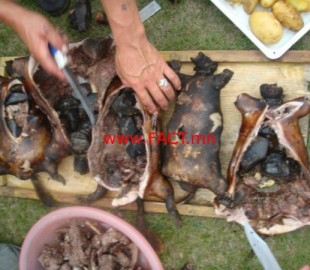 249e31b42c4c7f1e90c47d89a9455ee6