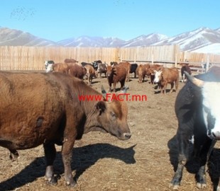 59486b46f4718962bdfd607dc38559d0_x3