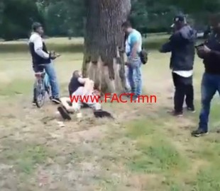 dd8e51f3109535235e6db32d5a57c2db