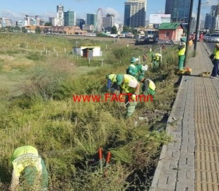 olloo_mn_1470637928_sharilj