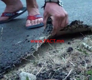 14237769_1774091352870167_1115740537914434165_n