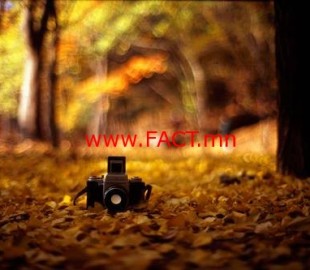 14349185_613522042162609_717371485_n