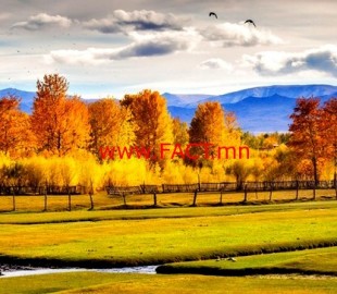 147505066057eb7ca420cd8