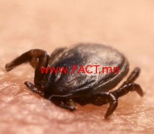 527-14730492557326ae1d3d474e8original