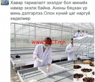 527-1473986364erdenechimeg_700x700